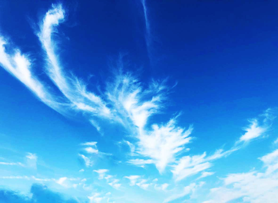 青空に浮かぶ羽の形をした雲