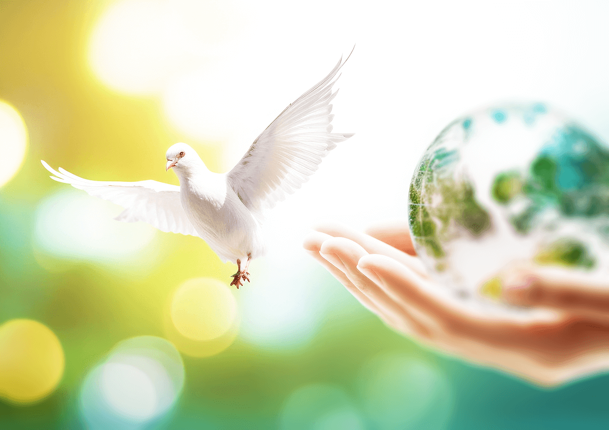 平和に向かって飛びたつ白い鳩